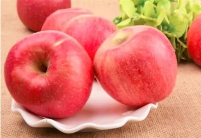 Az alma morfológiai jellemzői