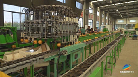 Az első gyümölcs-szabványosítási eredetszolgáltatási fórum